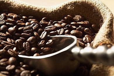 《刺客信条：幻景》细节 新撑竿跳为跑酷增加新选择