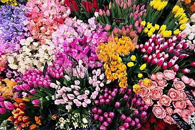 国行NS e商店停运公告 关服前送至多4款游戏